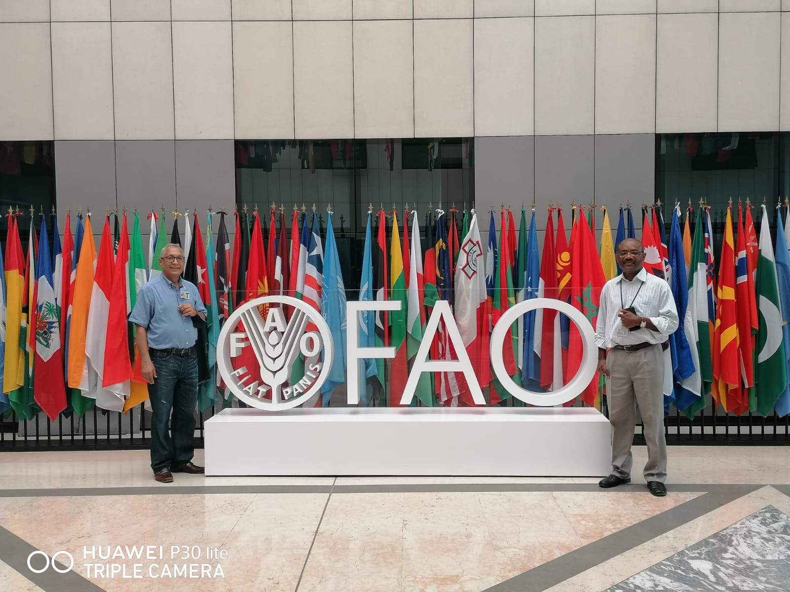 FAO collaboration